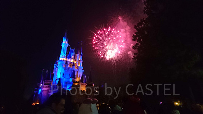 ナイトハイ・ハロウィーン