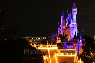 スイスファミリー・ツリーハウスからの夜景