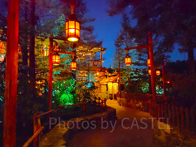 キャンプ・ウッドチャックの夜景