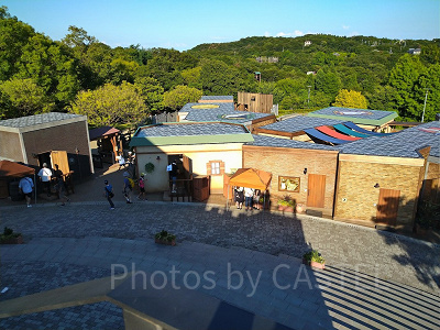 ニジゲンノモリ/ドラゴンクエストアイランドのオノコガルドの町