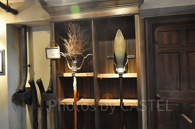 ハリー・ポッターエリアでは「ニンバス2000」「ファイヤーボルト」が絶賛販売中/USJ