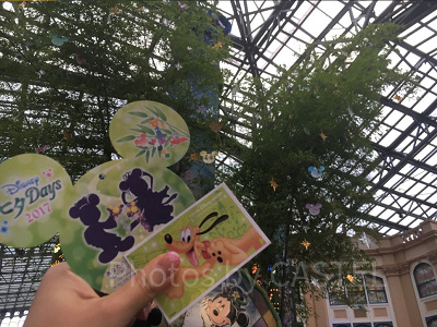 浴衣ディズニーの注意点