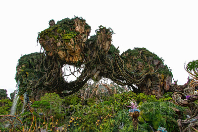 パンドラ：ザ・ワールド・オブ・アバター 設定：16㎜ SS1/50 F10 ISO100