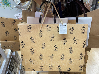 ペーパーバック:ミッキーマウス&ミニーマウス