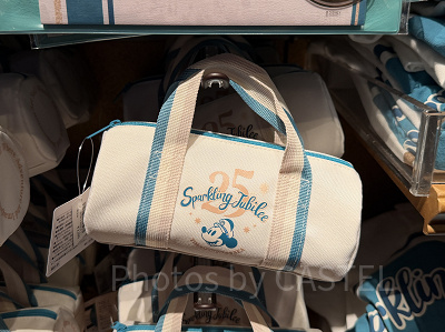 ペンケース(ディズニーシー25周年グッズ)