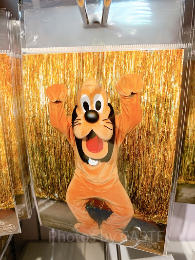 写真（プルート）