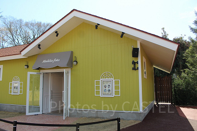 写真スタジオ「ムイックフォト」