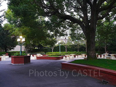 ディズニーランドのピクニックエリア