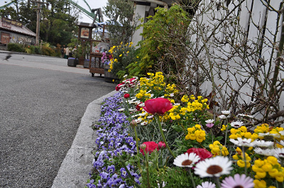 USJアミティエリアの植栽