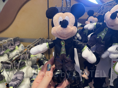 (希少)ディズニーぬいぐるみバッチ 希少 タグ付き ディズニー 34周年 グーフィー ぬいぐるみバッジ