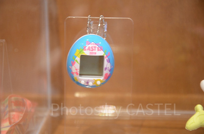 ポケットうさたま