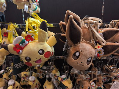 ポケパークカントー/ポシェット