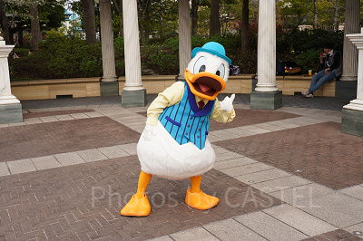 ドナルドが可愛くポーズ