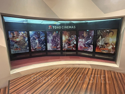 『隻眼の残像』のポスター