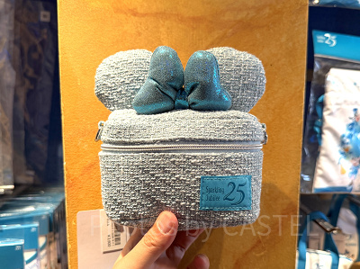 ポーチ(ディズニーシー25周年グッズ)