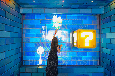 パワーアップバンド・キーチャレンジ：ドッスン・フリップパネル