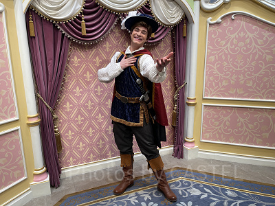 プリンス・チャーミング（プリス王子）