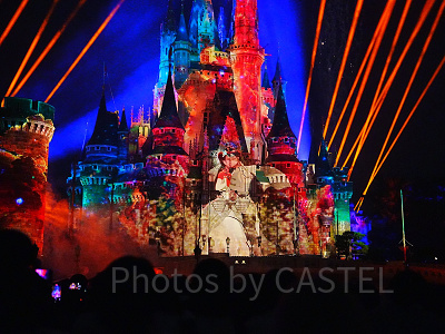 プリンセスと魔法のキス