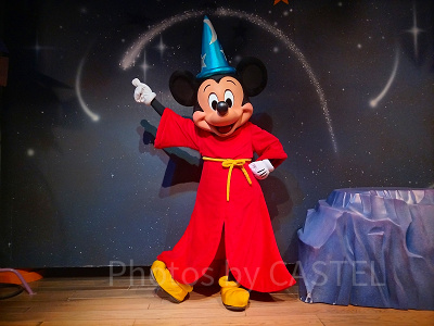 貸切ディズニー：ミッキーの家は何周もできるほど空いている！