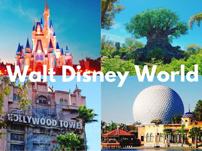 ディズニーリゾートの電波事情：海外のパークの電波事情