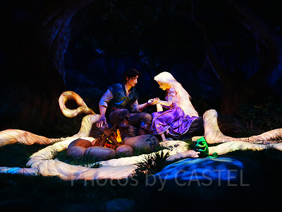 ラプンツェルがフリン・ライダーの傷を癒す〔ラプンツェルのランタンフェスティバル〕