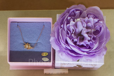 ラプンツェルネックレス(10K)