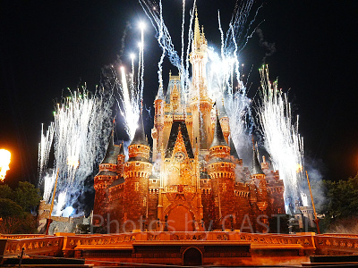 バケパ鑑賞エリアから見たReach for the Stars