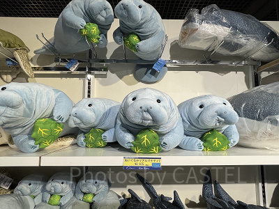 リアルマナティぬいぐるみ