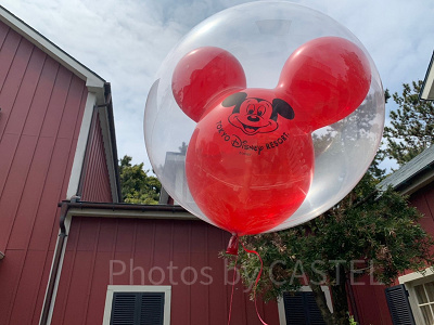 ディズニー WDW バルーン ステッキ スティック 海外 ラウンジフライ 風船 ディズニー WDW バルーン ステッキ スティック 海外 ラウンジフライ