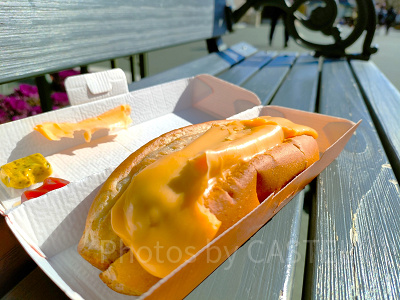 リフレッシュメントコーナー：チーズドッグ