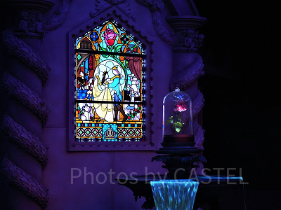 美女と野獣”魔法のものがたり”