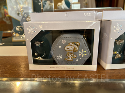 ケース付きリングセット