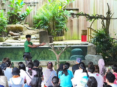 リバーワンダー：ワンス・アポン・ア・リバー（川の物語）