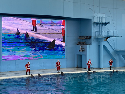 サンタコスチュームのトレーナー