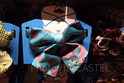 サリー　リボン