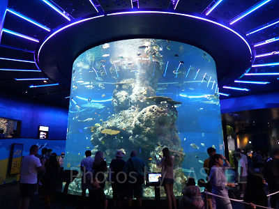 シーアクアリウム:円柱形水槽コーラルガーデン