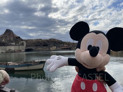 ミッキー広場の近くの場所の1列目を確保!