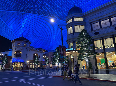 視聴できるサービス