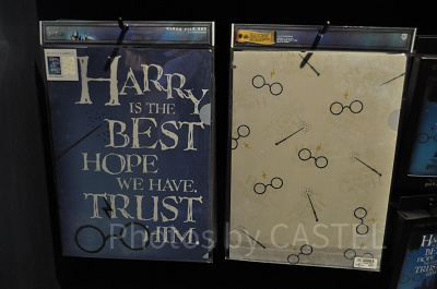 Harry’s Glasses(ハリーズグラッシーズ)のクリアファイル2枚セット
