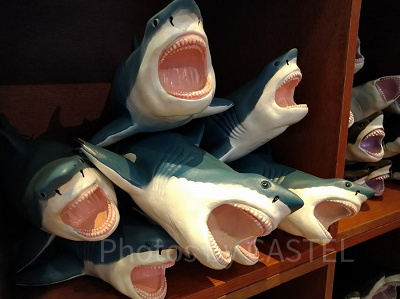 サメの人形