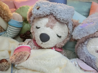 みんなに愛されているシェリーメイ