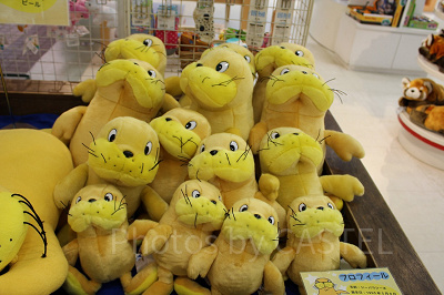 シーパラ シー太ぬいぐるみ