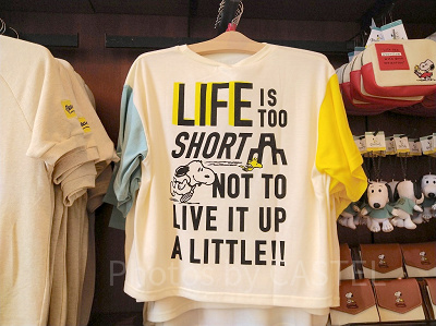 スヌーピーとコロシアムアーチのTシャツ