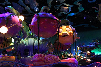 回転レースのスタート