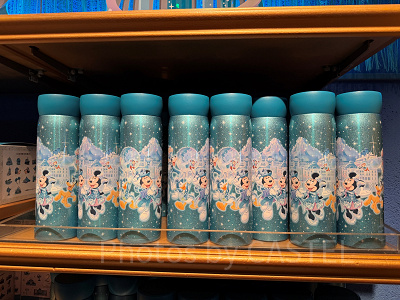 ステンレスボトル(ディズニーシー25周年グッズ)