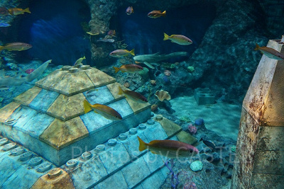 「サブマリン・アドベンチャー」