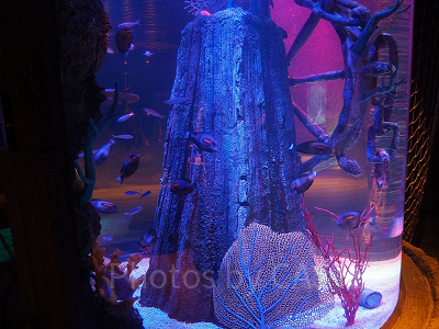 「沈没船」エリア