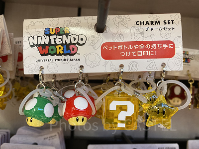 スーパーニンテンドーワールドのめじるしアクセサリー