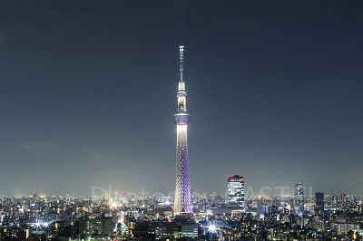 スカイツリーの絶景