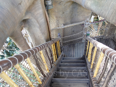 スイスファミリー・ツリーハウス：下り階段